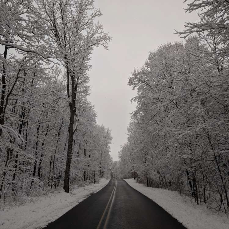 Road through wooded area with snow